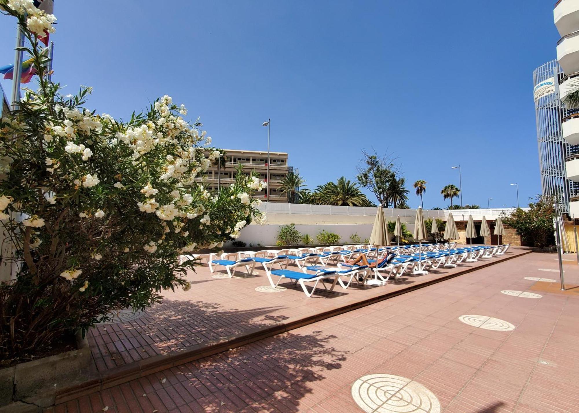 Las Camelias Apartments Playa del Inglés Eksteriør bilde